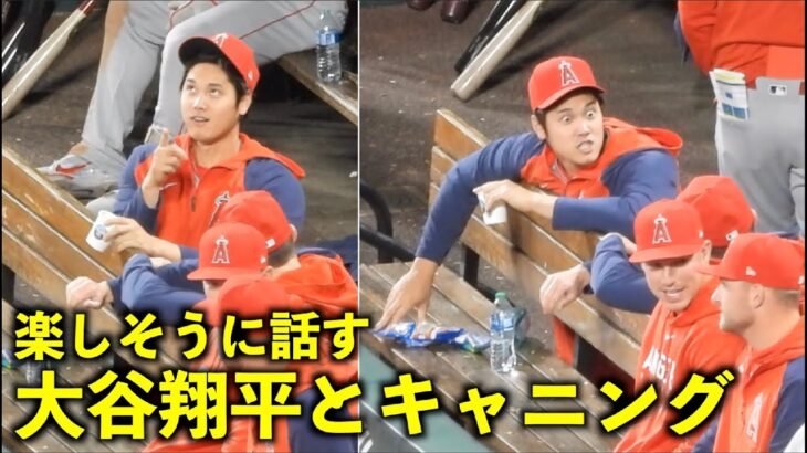 表情豊かw キャニングと楽しそうに話す大谷翔平【現地映像】エンゼルスvsカージナルス第1戦5/3