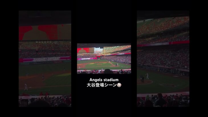 #angelsstadium #大谷 #大谷翔平 #エンゼルス #エンジェルス #MLB #メジャーリーグ