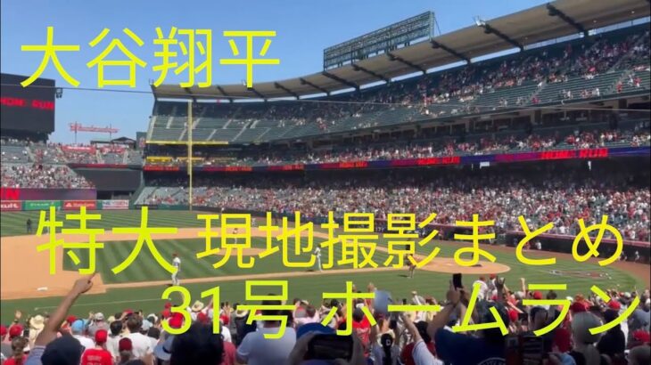 【大谷翔平⠀】 特大‼️ 31号 ホームラン 現地撮影 映像まとめ 2023  7 3