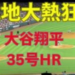 大谷翔平 35号2ランホームラン! エンゼルスvs ヤンキース　3 vs 3 現地映像