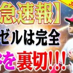 【緊急速報】「大谷翔平を守れなかった球団」ベン・バーランダー氏が断言！「エンゼルスは大谷翔平を裏切った」猛批判の理由とは？「大谷翔平、驚きの格安契約へ！？」米メディアが警鐘「リスク」の真相に迫る！