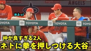 ネトに拳を押しつける大谷翔平w 死球のオホッピーを気にかける様子も！【現地映像】エンゼルスvsレッズ第１戦8/23