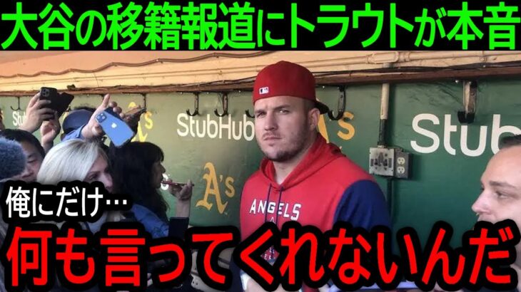 【大谷翔平】「なんで俺には何も言ってくれないんだ…」今季の復帰を断念したトラウトが大谷の移籍に対して苦しい胸の内を吐露【9月25日海外の反応】