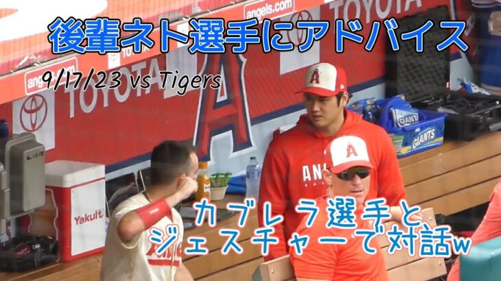 #大谷翔平選手 今日もダグアウトでチームメイトと一緒！#ミゲルカブレラ 選手と仲良しジェスチャー♪ネト君にコーチも☆