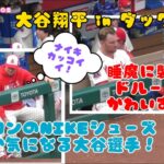 クロンのの何かが気になる大谷翔平選手！睡魔に襲われるドルーリーがかわいすぎる😊#大谷翔平現地映像 #エンゼルス #野球