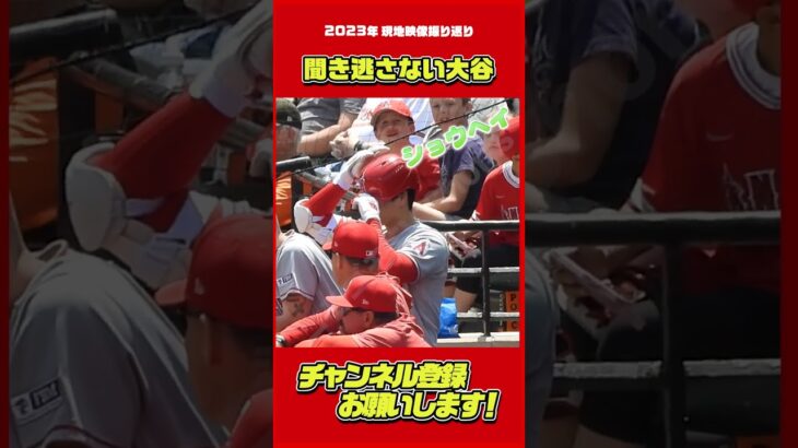 少年の声はちゃんと大谷に届きました！#大谷翔平 #Shorts