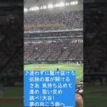 【あわや乱闘⁉】WBC2023イタリア戦 大谷翔平の打席