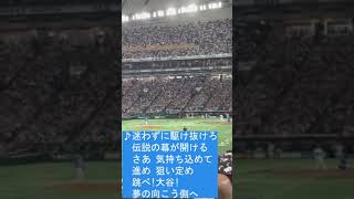 【あわや乱闘⁉】WBC2023イタリア戦 大谷翔平の打席