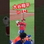 ブルージェイズの試合前映像に釘付けになる大谷翔平選手! #大谷翔平 #メジャーリーグ #mlb