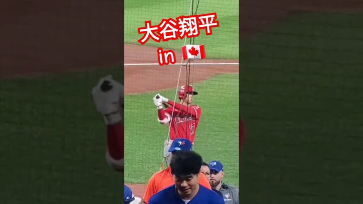 ブルージェイズの試合前映像に釘付けになる大谷翔平選手! #大谷翔平 #メジャーリーグ #mlb