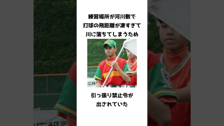 大谷翔平の子供時代にまつわる雑学 #shorts #大谷翔平 #野球