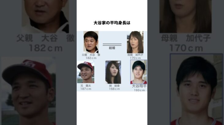 「大谷翔平の家族」に関する雑学#shorts