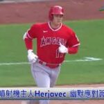 12/9 大谷加盟藍鳥? 美媒爆料引軒然大波