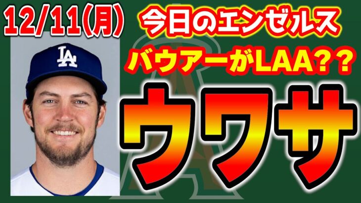 【来い】スタッシ＆フレッチまさかのトレード😭バウアーある？JDいらん😤コーチの給与問題💰　メジャーリーグ　mlb【ぶらっど】