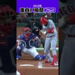 【大谷翔平】2023年の面白い瞬間#29：全員が勝ちたい瞬間が… 😟😟😟 #shorts  #shoheiohtani #mlb #baseball