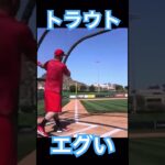 【MLB】トラウトのフリーバッティング、エグい #大谷翔平 #shoheiohtani #mlb #mvp #wbc #angels #dodgers #侍ジャパン #エンゼルス