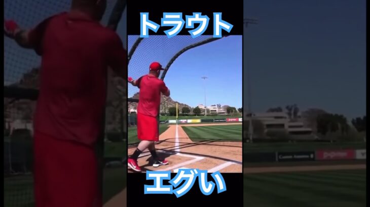 【MLB】トラウトのフリーバッティング、エグい #大谷翔平 #shoheiohtani #mlb #mvp #wbc #angels #dodgers #侍ジャパン #エンゼルス