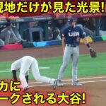 【WBC秘蔵映像】アメリカが大谷を恐れた瞬間！【現地映像】