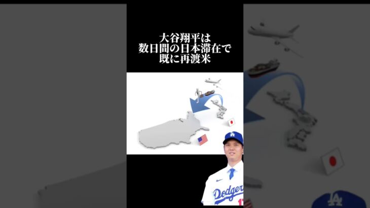 大谷翔平帰国していた