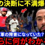 【大谷翔平】ヘルナンデスが批判覚悟で放った“ド正論”に賛同の声…エンゼルス退団しド軍入団した大谷に敵軍エースが怒り心頭！ド軍を選んだ新同僚が放った”痛快な反論”に拍手喝采【海外の反応】