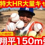 大谷翔平150m特大弾！その瞬間、キャンプ地の裏では衝撃の展開が！奇跡の大量HRボールその正体とは！【現地取材】