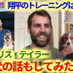 素振り20本に20分かける　大谷翔平のトレーニングを語るクリス・テイラー　愛犬の話もしたいね　日本語翻訳字幕付