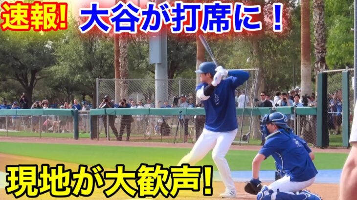 速報！大谷がライブBP打席に登場！ファンが大歓声！現地映像