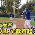 ショーヘーイ！ライブBPで打席に立った大谷翔平に歓声が起きる！【現地映像】ドジャース春季キャンプ2024【スプリングトレーニング】