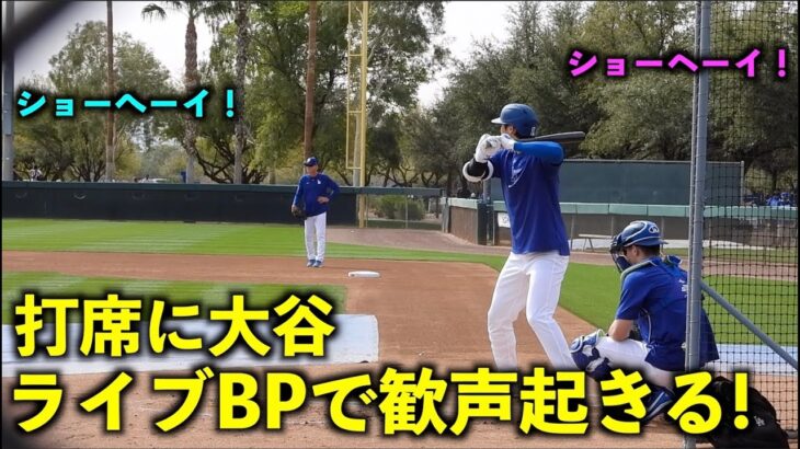 ショーヘーイ！ライブBPで打席に立った大谷翔平に歓声が起きる！【現地映像】ドジャース春季キャンプ2024【スプリングトレーニング】