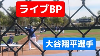 大谷翔平選手ライブBP速報！BP by Shohei Ohtani今日は1打席のみ⚾