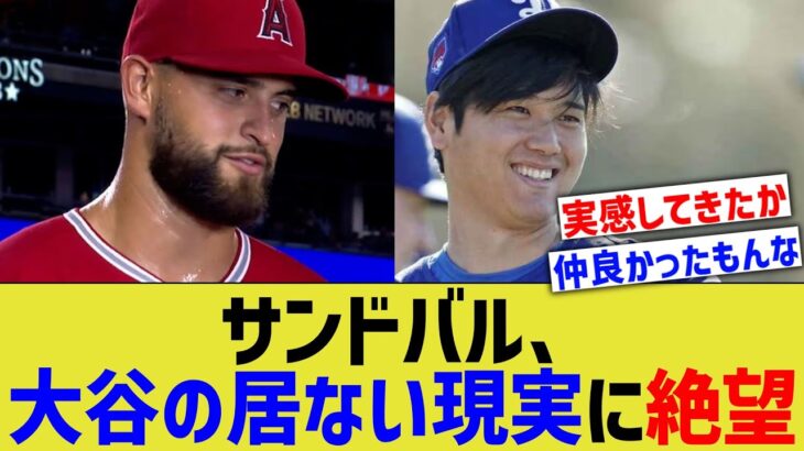 サンドバル、大谷のいない現実に絶望【なんJ プロ野球反応】