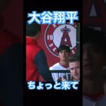 【MLB】一平さんをベンチ裏へ呼び出す大谷翔平 #大谷翔平 #shoheiohtani #mlb #mvp #wbc #angels #dodgers #侍ジャパン #エンゼルス