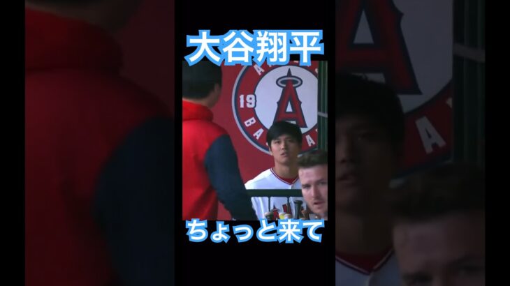 【MLB】一平さんをベンチ裏へ呼び出す大谷翔平 #大谷翔平 #shoheiohtani #mlb #mvp #wbc #angels #dodgers #侍ジャパン #エンゼルス