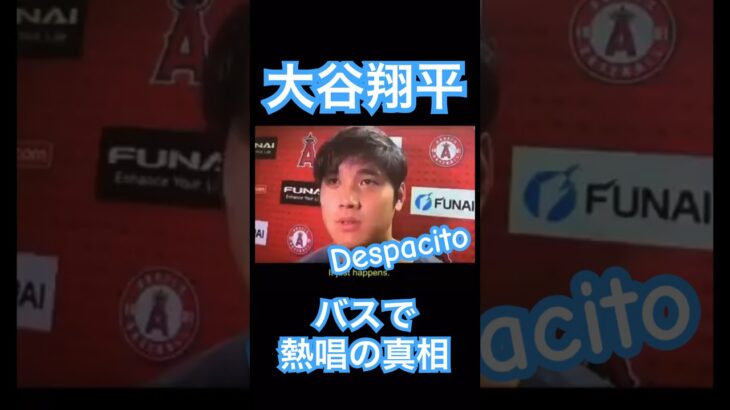 【MLB】エンゼルス時代の大谷翔平、バスで熱唱した真相を語る #大谷翔平 #shoheiohtani #mlb #mvp #wbc #angels #dodgers #侍ジャパン #despacito