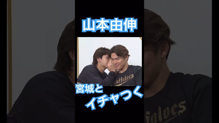 【NPB】宮城くんとイチャつくオリックス山本由伸③ #大谷翔平 #shoheiohtani #mlb #mvp #wbc #angels #dodgers #侍ジャパン #エンゼルス