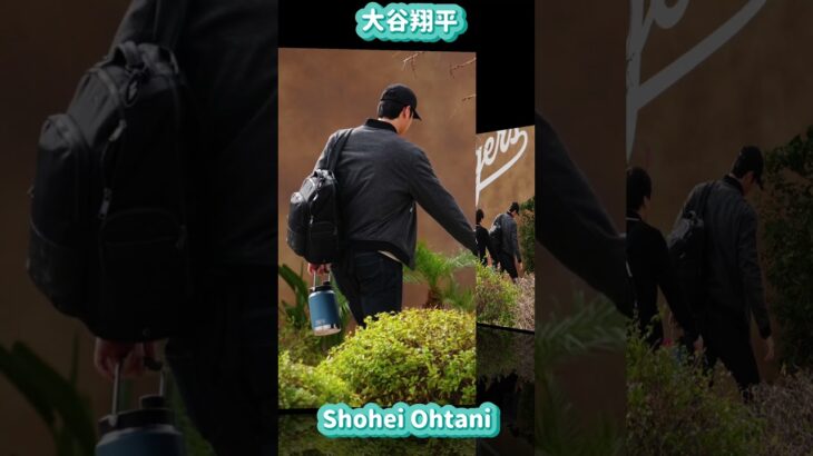 大谷翔平笑顔でキャンプ施設内に入る😊Shohei entered the camping facility with a smile😊#shorts #ドジャース#ohtanishohei#mbl