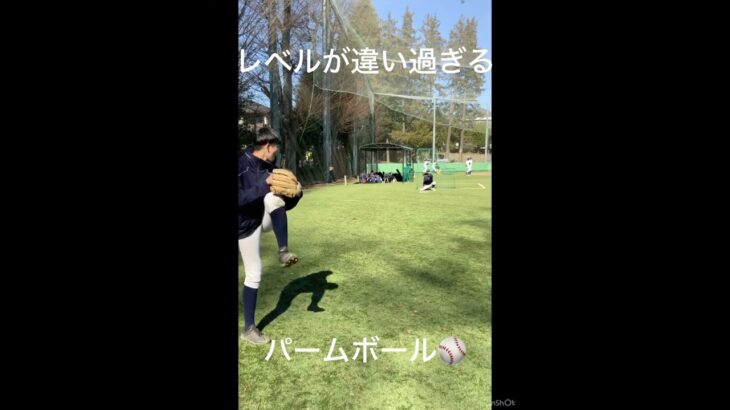 中学生軟式野球パームボール#中学生 #メジャーリーグ #大谷翔平 #山本由伸 #佐々木朗希 #千賀滉大 #ダルビッシュ有 #伊藤大海