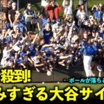 超激混みのファンサービス！大谷翔平のサイン会にファンが大殺到しボールが落ちる！【現地映像】3月2日ドジャース対ガーディアンズOP戦