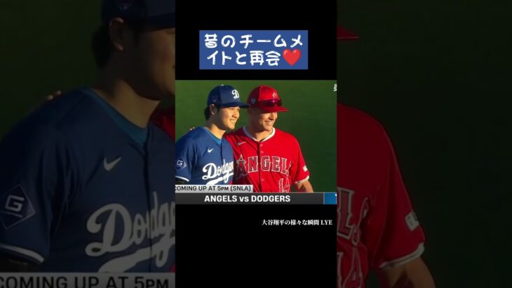 昔のチームメイトと再会❤️ #大谷翔平 #shoheiohtani #japan #shorts #baseball #trending #mlb #野球 #野球解説