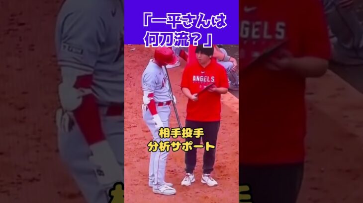 【大谷翔平】一平さんは何刀流？：相手投手分析サポート 😍😍😍 #shorts #shoheiohtani #baseball #mlb