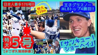 ⚾大谷翔平 特大５号おこぼれ現地映像 ＆ 王子グラスノーがニッコニコで大谷に賛辞！【ドジャスタが揺れるｗ現地映像まとめ】（2024.4.22 Dodgers 10-0 Mets）