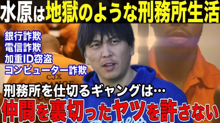 大谷翔平からの詐欺で水原一平には地獄のような刑務所生活が待っている！刑務所を仕切るギャングは仲間を裏切ったヤツを許さない！