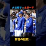 大谷翔平と水原一平の過去の友情