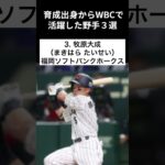 【野手】育成出身からWBCで活躍した野手３選 #shorts #育成出身 #WBC