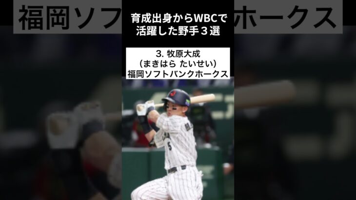 【野手】育成出身からWBCで活躍した野手３選 #shorts #育成出身 #WBC