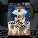 【大谷翔平】デコピンの“おやつ入れ”は600円なの？😮🐶 #shorts #baseball #大谷翔平 #mlb