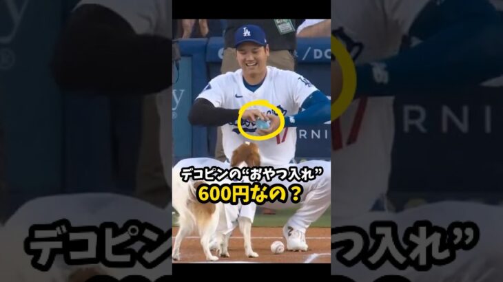 【大谷翔平】デコピンの“おやつ入れ”は600円なの？😮🐶 #shorts #baseball #大谷翔平 #mlb