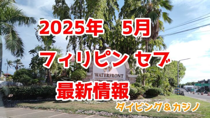 2025年5月 フィリピン セブの最新情報です。ダイビングとカジノ #セブ #海外旅行 #CEB #旅行 #ビリヤード