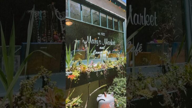 2025年 LAカフェ】郊外のオールドアメリカンバイブスなカフェ
