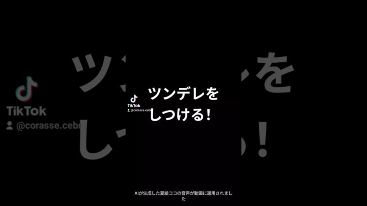 2025年　ツンデレガールのしつけ